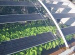 Lắp đặt năng lượng mặt trời cho hệ thống tưới cây tự động